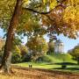 englischer_garten_.jpg